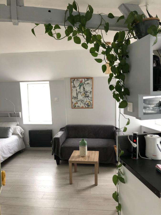 Saint Bonnet Apartman Bourges Kültér fotó